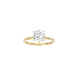 6 Prong Cushion Cut Classic Ring YG