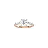 Classic Round 4 Prong Ring with Pavé Band RG