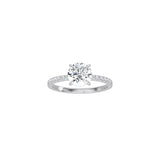 Classic Round 4 Prong Ring with Pavé Band WG