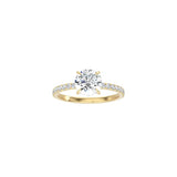 Classic Round 4 Prong Ring with Pavé Band YG