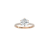 6 Prong Classic Round Ring with Pavé Band RG