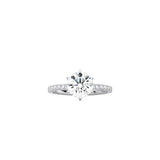 6 Prong Classic Round Ring with Pavé Band WG