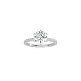 6 Prong Classic Round Ring with Pavé Band WG