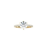 6 Prong Classic Round Ring with Pavé Band YG