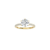 6 Prong Classic Round Ring with Pavé Band YG