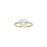 Round Cathedral Setting Ring with Pavé Band YG