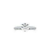 Round Diamond Triple Row Pavé Band WG